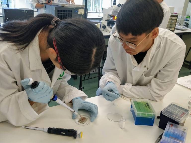 School of Science